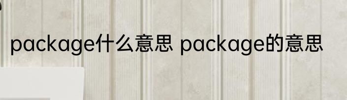 package什么意思 package的意思