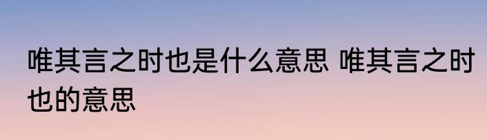 唯其言之时也是什么意思 唯其言之时也的意思