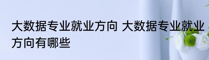 大数据专业就业方向 大数据专业就业方向有哪些