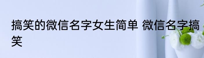 搞笑的微信名字女生简单 微信名字搞笑