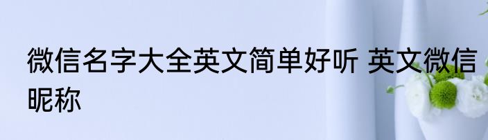 微信名字大全英文简单好听 英文微信昵称