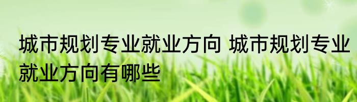 城市规划专业就业方向 城市规划专业就业方向有哪些
