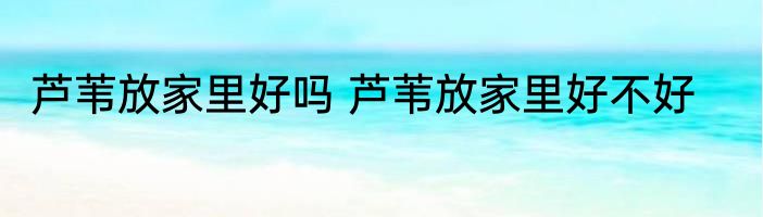 芦苇放家里好吗 芦苇放家里好不好