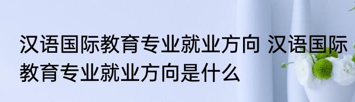 汉语国际教育专业就业方向 汉语国际教育专业就业方向是什么