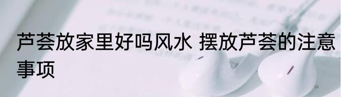 芦荟放家里好吗风水 摆放芦荟的注意事项