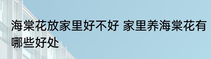 海棠花放家里好不好 家里养海棠花有哪些好处