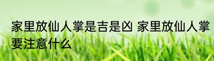家里放仙人掌是吉是凶 家里放仙人掌要注意什么