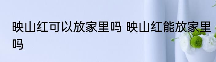 映山红可以放家里吗 映山红能放家里吗
