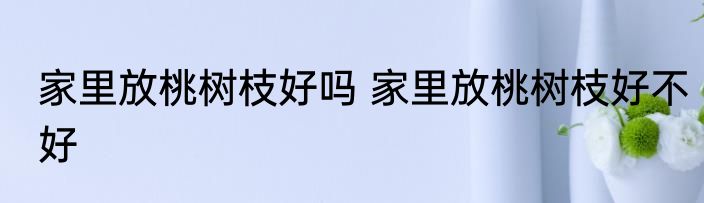 家里放桃树枝好吗 家里放桃树枝好不好