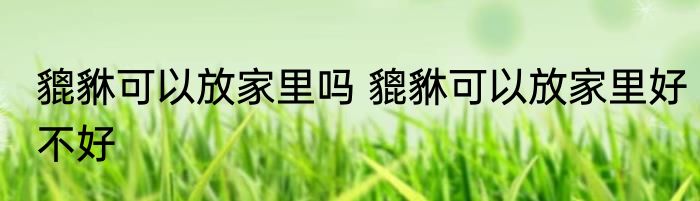 貔貅可以放家里吗 貔貅可以放家里好不好