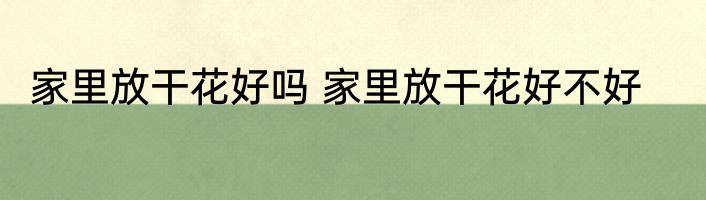 家里放干花好吗 家里放干花好不好