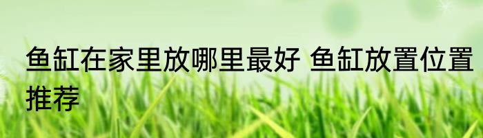 鱼缸在家里放哪里最好 鱼缸放置位置推荐