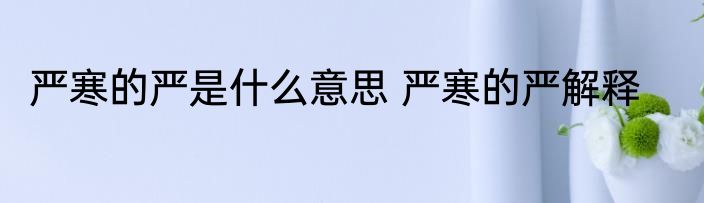 严寒的严是什么意思 严寒的严解释