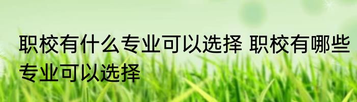 职校有什么专业可以选择 职校有哪些专业可以选择