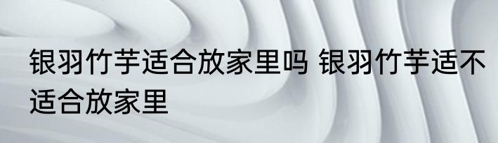 银羽竹芋适合放家里吗 银羽竹芋适不适合放家里