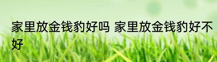 家里放金钱豹好吗 家里放金钱豹好不好