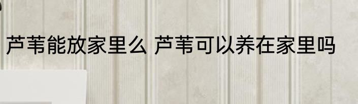 芦苇能放家里么 芦苇可以养在家里吗