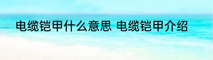 电缆铠甲什么意思 电缆铠甲介绍