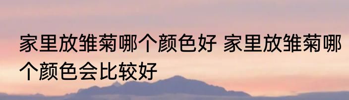 家里放雏菊哪个颜色好 家里放雏菊哪个颜色会比较好