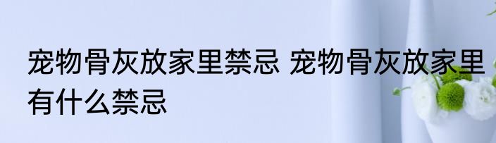 宠物骨灰放家里禁忌 宠物骨灰放家里有什么禁忌