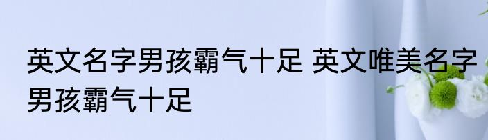 英文名字男孩霸气十足 英文唯美名字男孩霸气十足