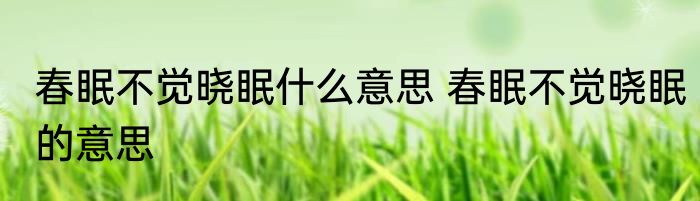 春眠不觉晓眠什么意思 春眠不觉晓眠的意思