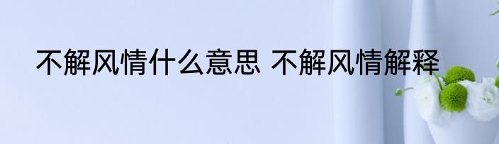 不解风情什么意思 不解风情解释