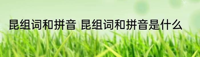 昆组词和拼音 昆组词和拼音是什么