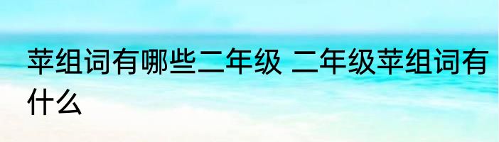 苹组词有哪些二年级 二年级苹组词有什么