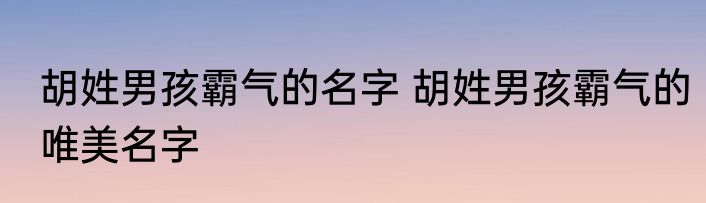 胡姓男孩霸气的名字 胡姓男孩霸气的唯美名字