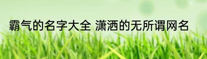 霸气的名字大全 潇洒的无所谓网名