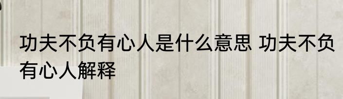 功夫不负有心人是什么意思 功夫不负有心人解释