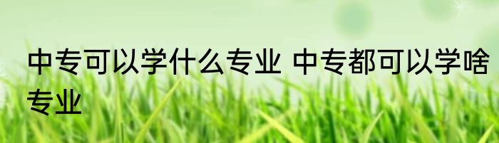 中专可以学什么专业 中专都可以学啥专业