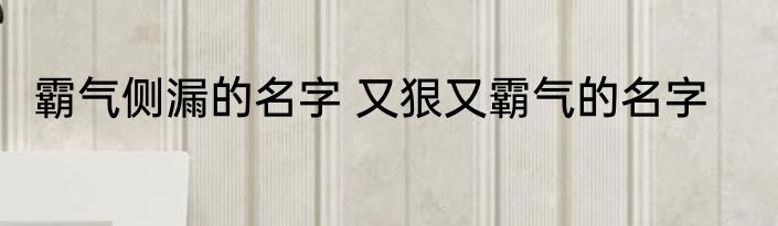 霸气侧漏的名字 又狠又霸气的名字
