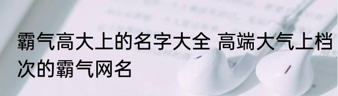 霸气高大上的名字大全 高端大气上档次的霸气网名