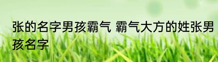 张的名字男孩霸气 霸气大方的姓张男孩名字