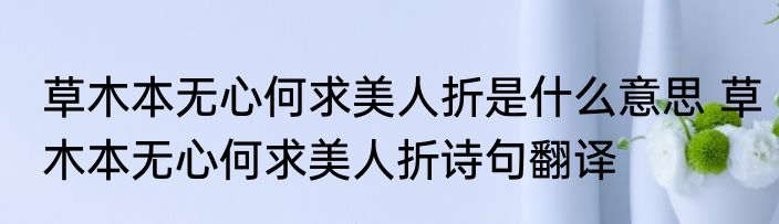 草木本无心何求美人折是什么意思 草木本无心何求美人折诗句翻译