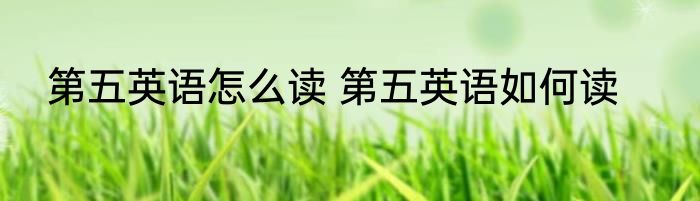 第五英语怎么读 第五英语如何读