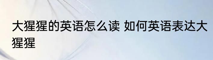 大猩猩的英语怎么读 如何英语表达大猩猩