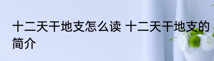 十二天干地支怎么读 十二天干地支的简介