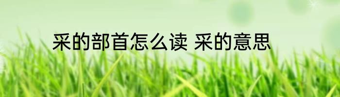 采的部首怎么读 采的意思