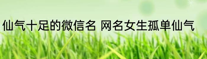 仙气十足的微信名 网名女生孤单仙气