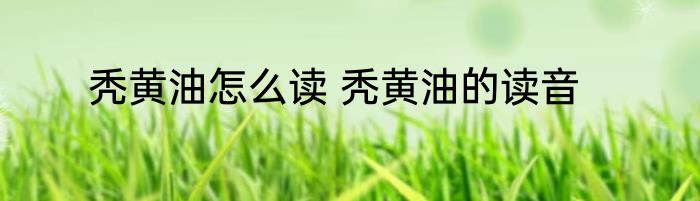 秃黄油怎么读 秃黄油的读音