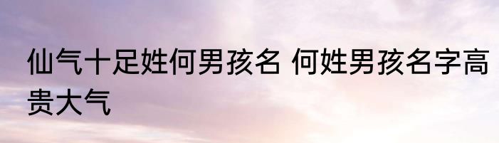 仙气十足姓何男孩名 何姓男孩名字高贵大气