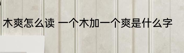 木爽怎么读 一个木加一个爽是什么字