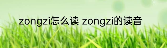zongzi怎么读 zongzi的读音