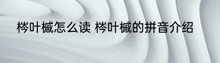 梣叶槭怎么读 梣叶槭的拼音介绍