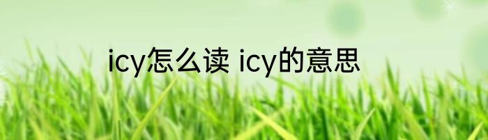 icy怎么读 icy的意思