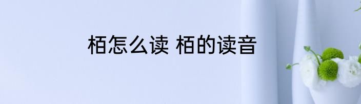 栢怎么读 栢的读音