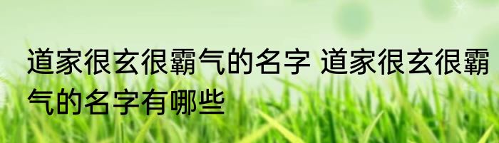道家很玄很霸气的名字 道家很玄很霸气的名字有哪些